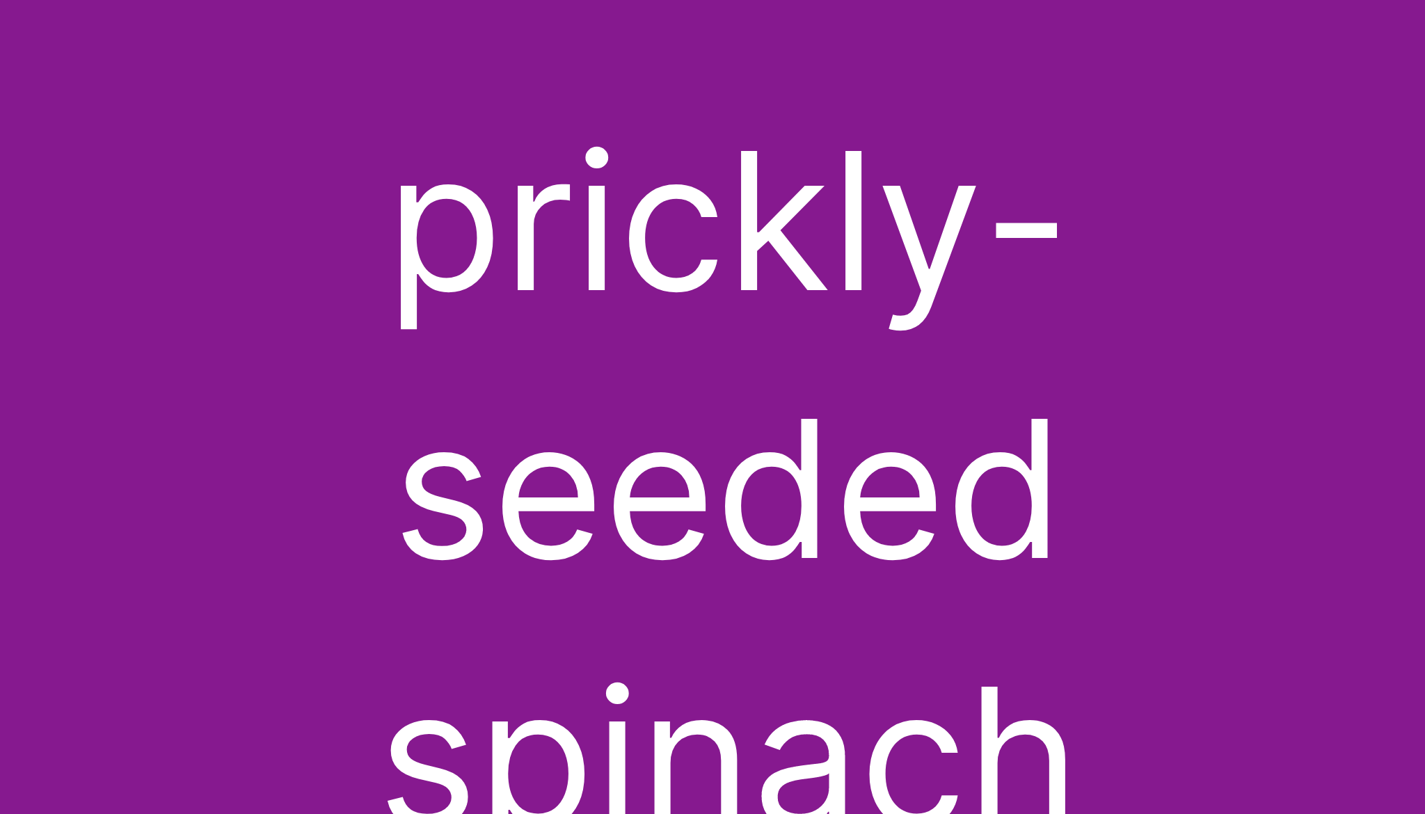 prickly-seeded-spinach-meaning-of-prickly-seeded-spinach-definition